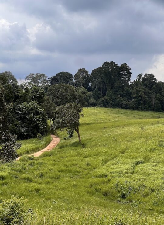 ภาคตะวันออกเฉียงเหนือ